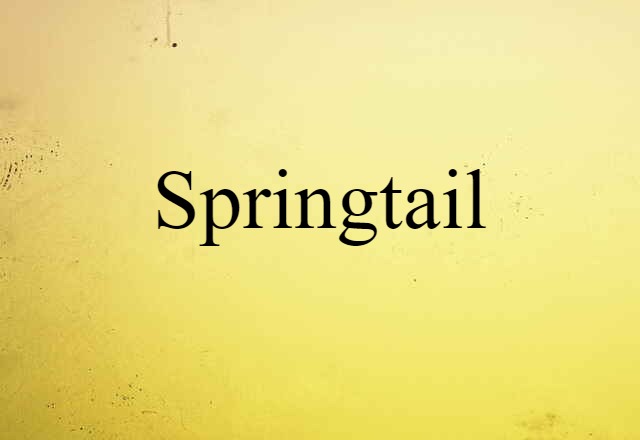 springtail