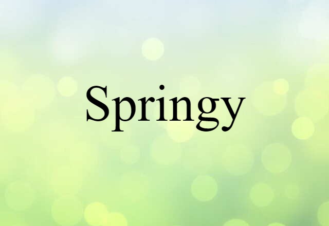 Springy (noun) Definition, Meaning & Examples