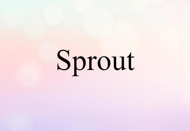 sprout