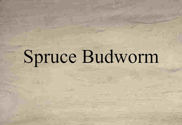 Spruce Budworm (noun) Definition, Meaning & Examples