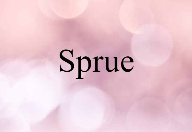 Sprue (noun) Definition, Meaning & Examples