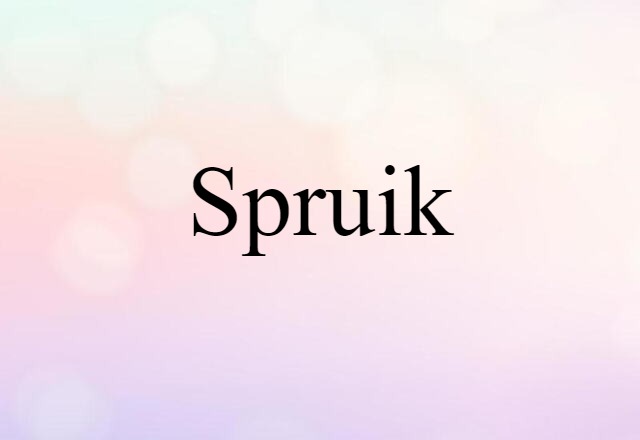 Spruik (noun) Definition, Meaning & Examples