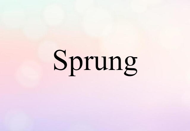 Sprung (noun) Definition, Meaning & Examples