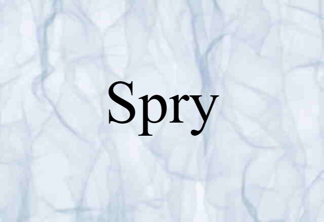 Spry (noun) Definition, Meaning & Examples