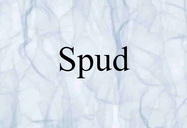 Spud (noun) Definition, Meaning & Examples