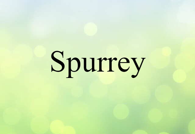 spurrey