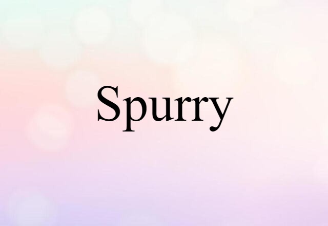 Spurry (noun) Definition, Meaning & Examples