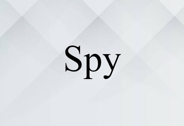 spy