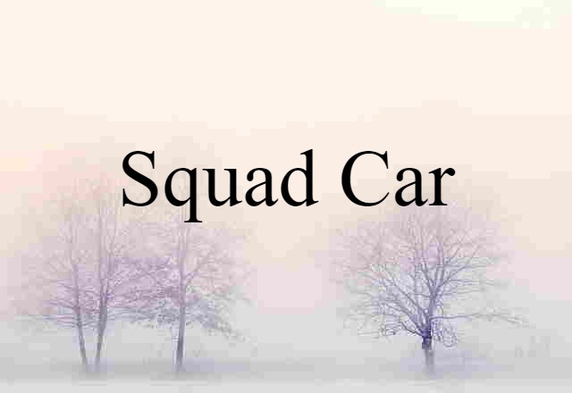 squad car