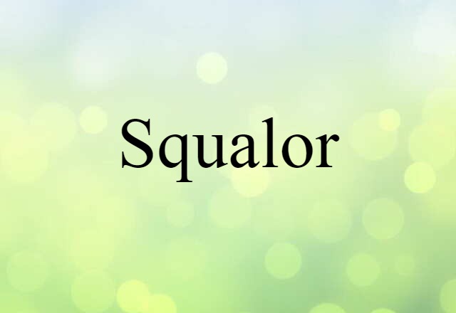 Squalor (noun) Definition, Meaning & Examples