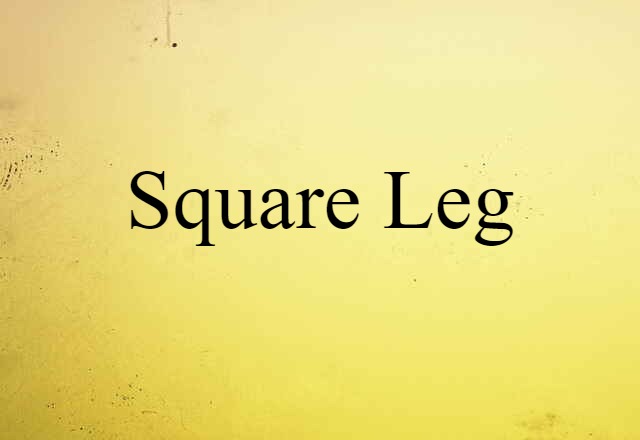 Square Leg (noun) Definition, Meaning & Examples