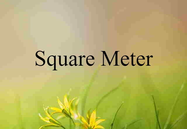 square meter