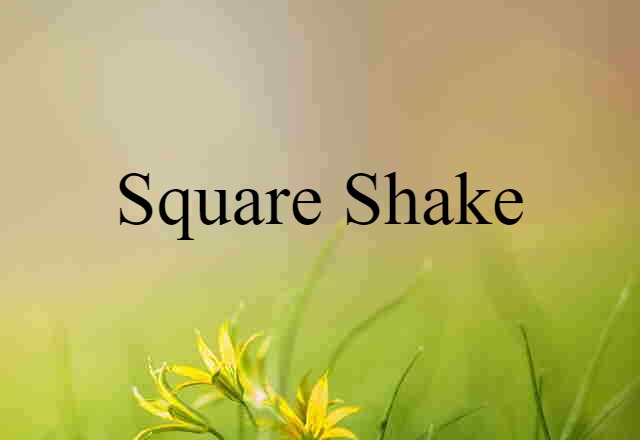 Square Shake (noun) Definition, Meaning & Examples