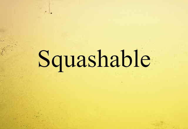 Squashable (noun) Definition, Meaning & Examples