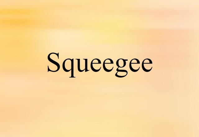 squeegee