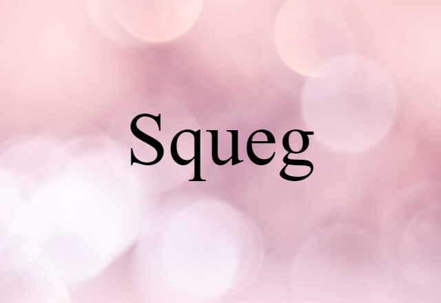 Squeg (noun) Definition, Meaning & Examples