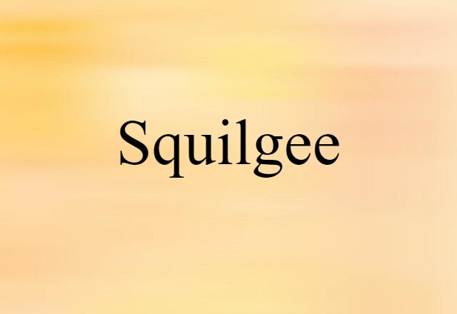 squilgee