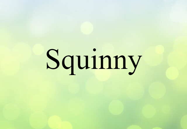 Squinny (noun) Definition, Meaning & Examples