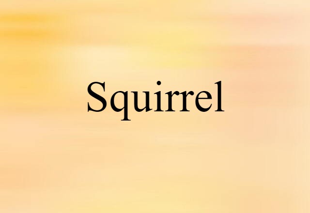 Squirrel (noun) Definition, Meaning & Examples