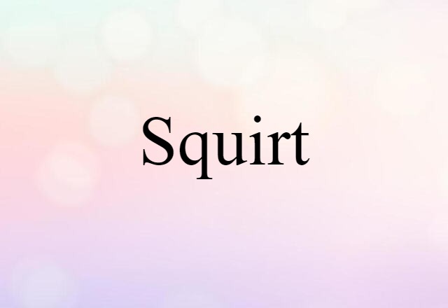 Squirt (noun) Definition, Meaning & Examples