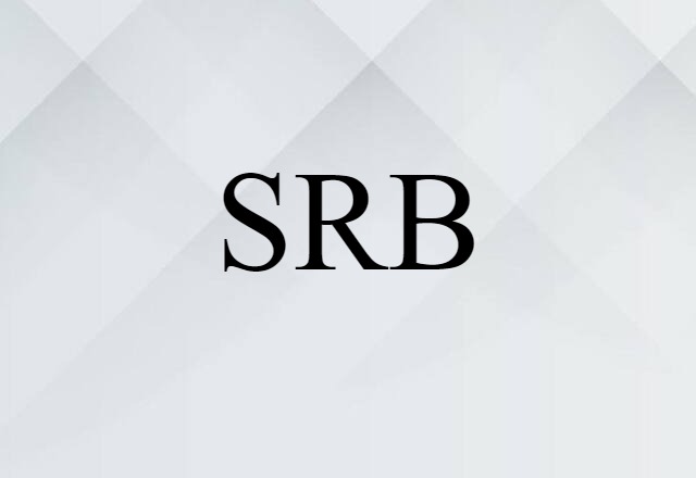 SRB (noun) Definition, Meaning & Examples