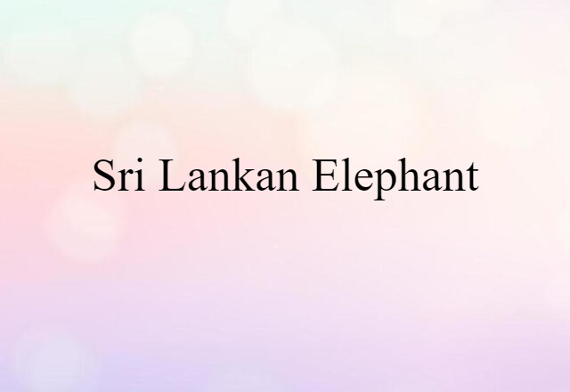 Sri Lankan elephant