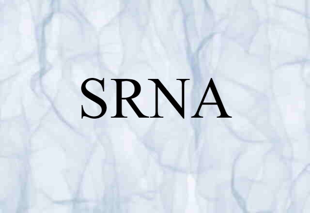 SRNA (noun) Definition, Meaning & Examples