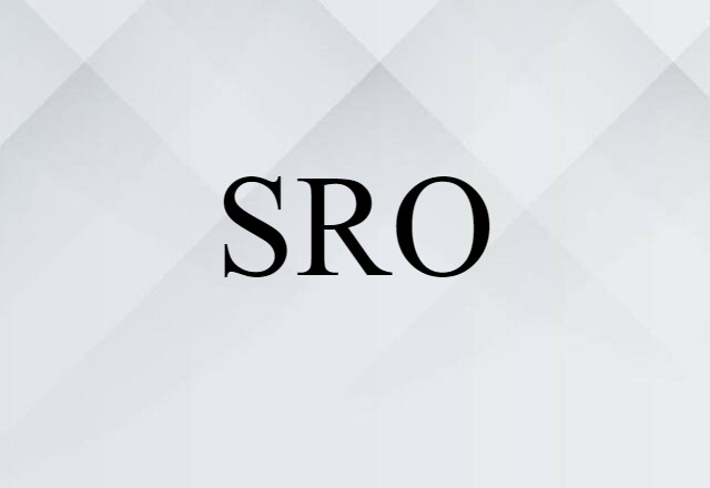 SRO (noun) Definition, Meaning & Examples