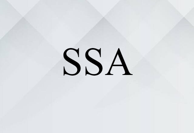 SSA (noun) Definition, Meaning & Examples