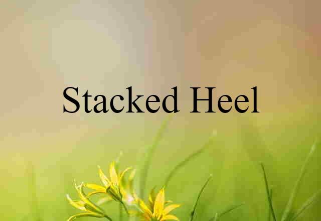 Stacked Heel (noun) Definition, Meaning & Examples