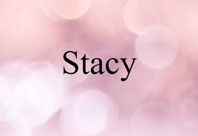 Stacy (noun) Definition, Meaning & Examples