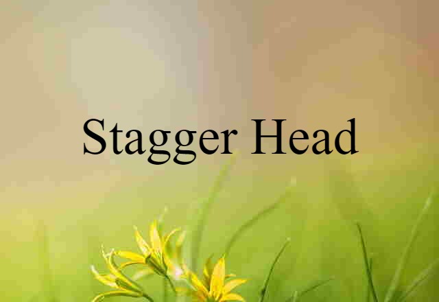 stagger head