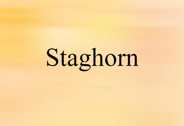 staghorn