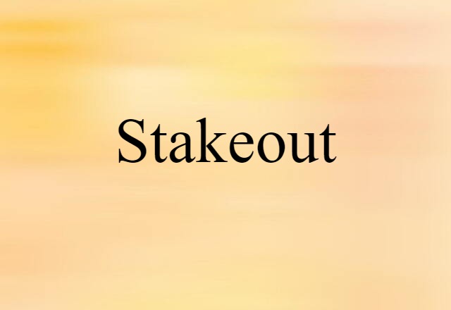 Stakeout (noun) Definition, Meaning & Examples