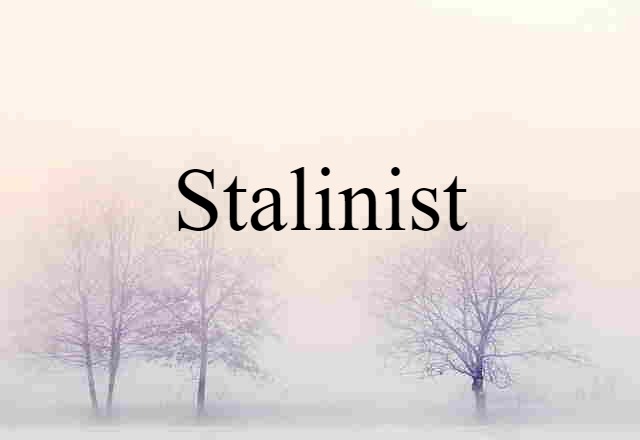 Stalinist (noun) Definition, Meaning & Examples