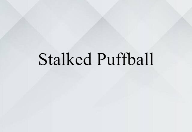 Stalked Puffball (noun) Definition, Meaning & Examples