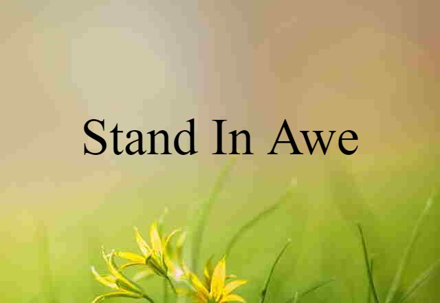 Stand In Awe (noun) Definition, Meaning & Examples