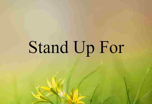 Stand Up For (noun) Definition, Meaning & Examples