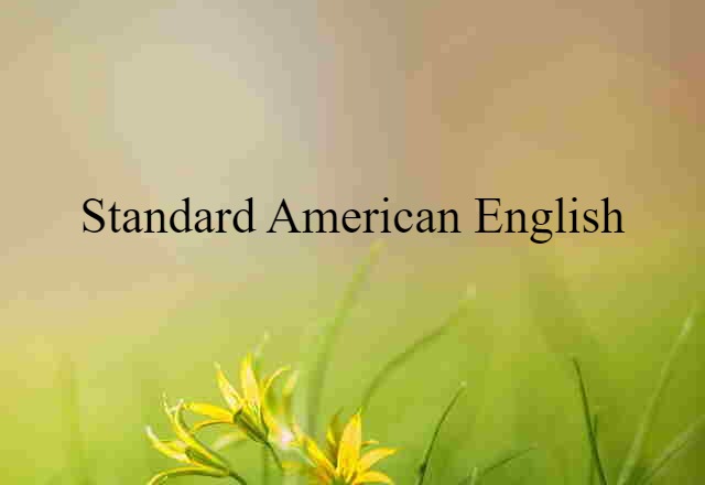 Standard American English (noun) Definition, Meaning & Examples