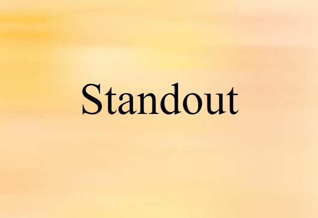 Standout (noun) Definition, Meaning & Examples