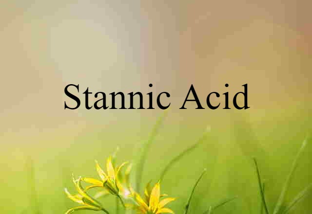 Stannic Acid (noun) Definition, Meaning & Examples