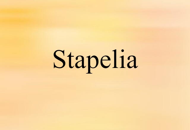 Stapelia (noun) Definition, Meaning & Examples