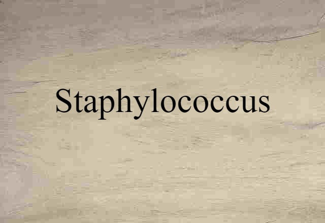 staphylococcus