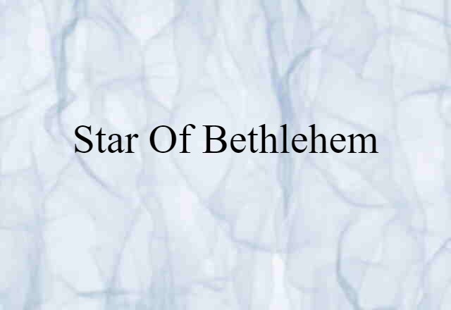 Star Of Bethlehem (noun) Definition, Meaning & Examples