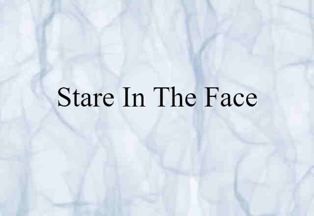 Stare In The Face (noun) Definition, Meaning & Examples