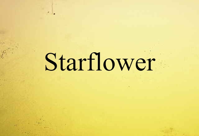 Starflower (noun) Definition, Meaning & Examples