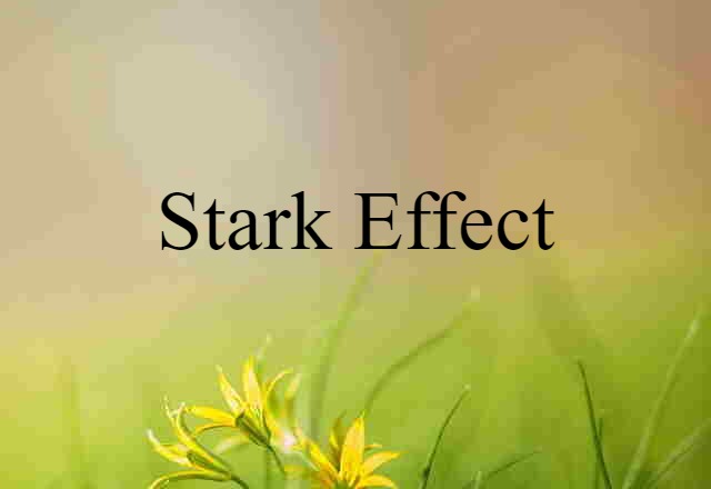 Stark Effect (noun) Definition, Meaning & Examples