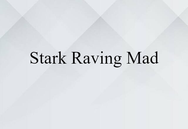 Stark Raving Mad (noun) Definition, Meaning & Examples