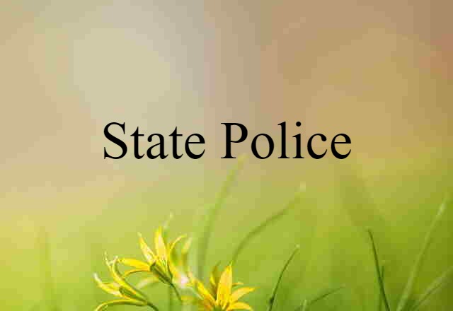 state police