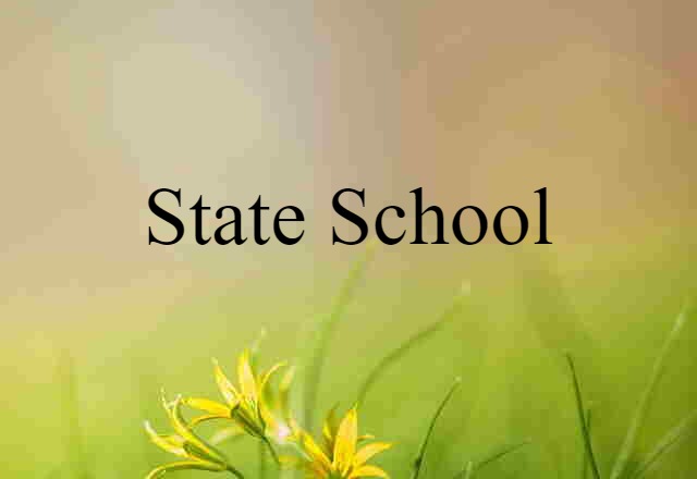 State School (noun) Definition, Meaning & Examples